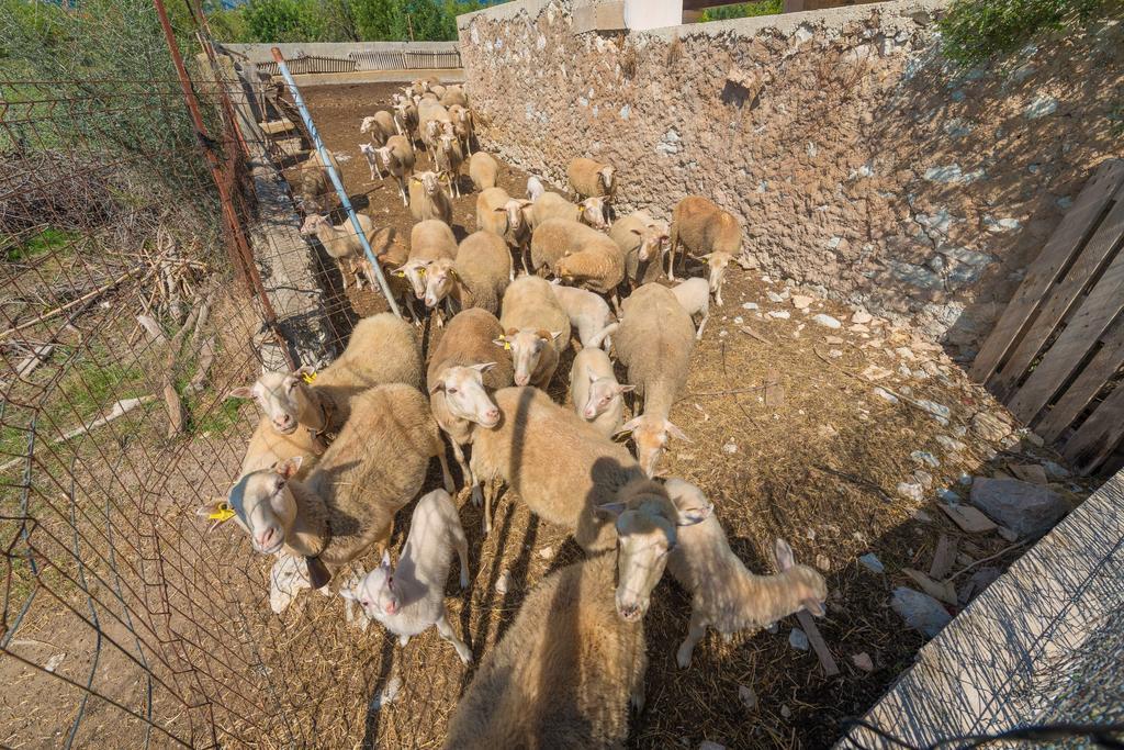 Granja Villa Inca Kültér fotó